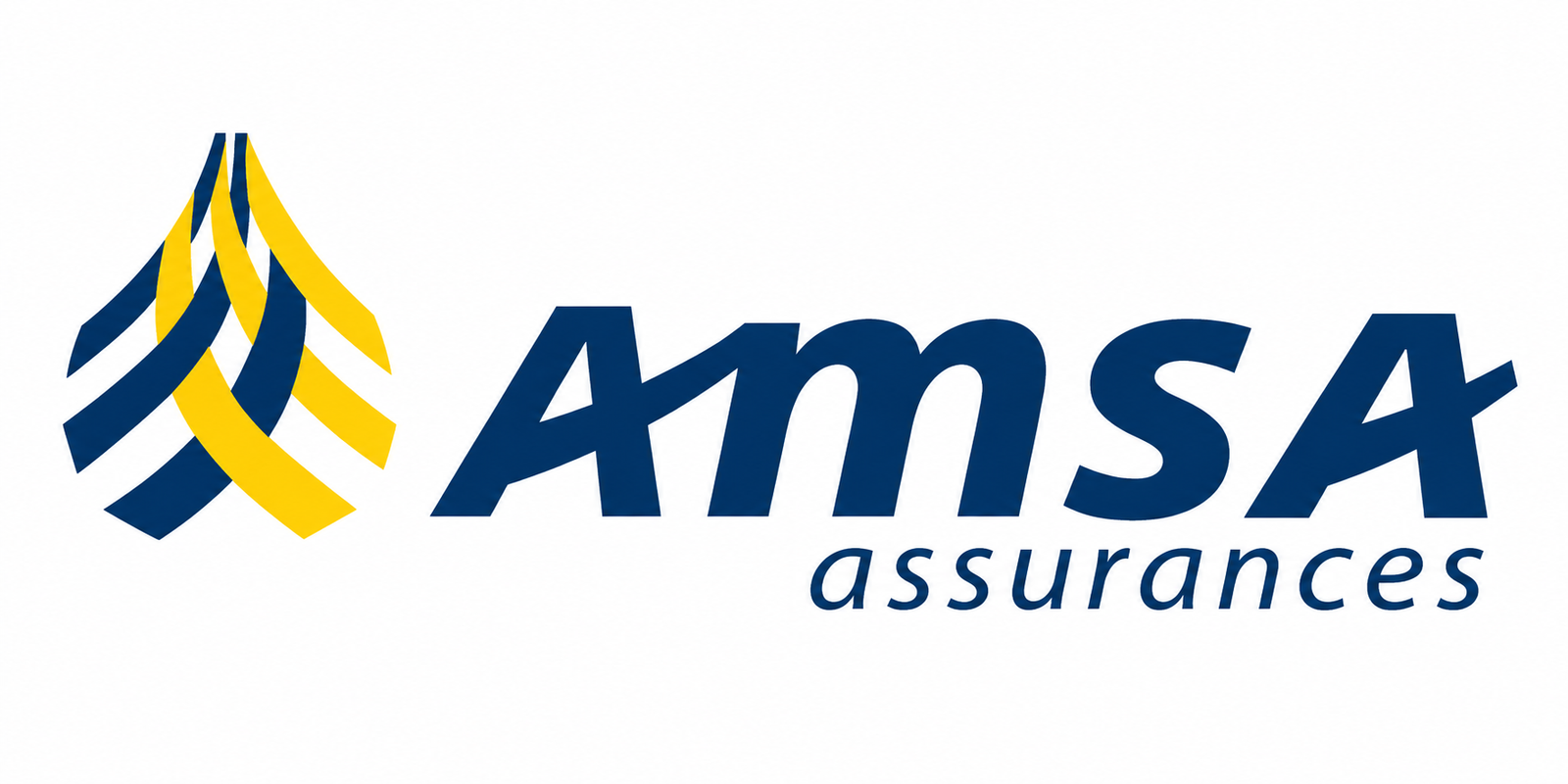 AMSA Assurances